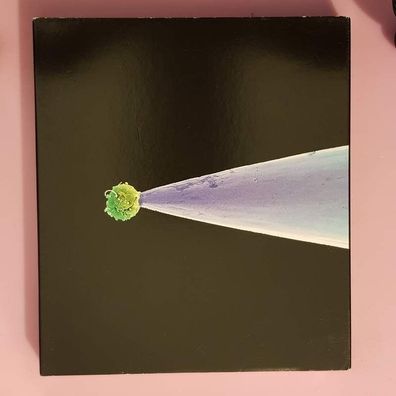 PETER Gabriel new blood OC Optimal NM/EX (Doppel-CD, Rock, Real World, 2011)