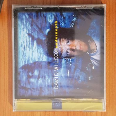 DAVID WILCOX underneath NEU OVP HDCD Germany MINT/MINT (CD Album, Folk)