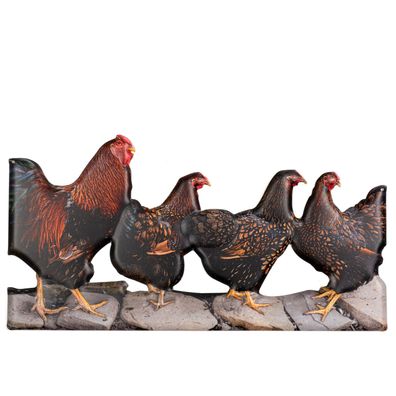 Moritz Blechschild 49,5 x 25,5 cm 4 Hühner Hahn Hühnchen Hähnchen Deko Schild Metalls