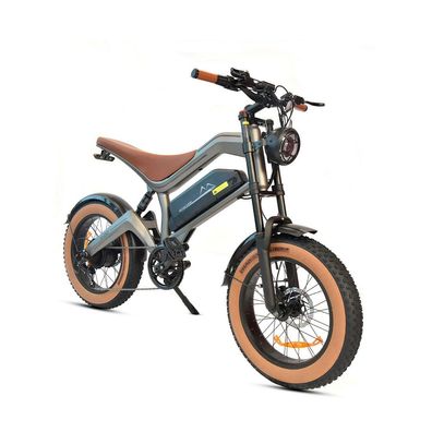 M20 20" Retro Offroad Elektrofahrrad, ydraulische Scheibenbremsen,48V 18,2 Ah,1000 W