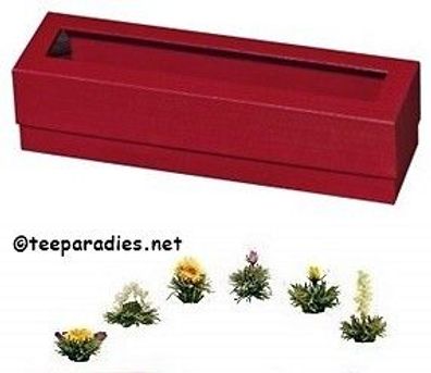 GP 19,90 EUR/Stck) Geschenkschachtel mit 6 Erblühteeblumen Weihnachts-Set ?