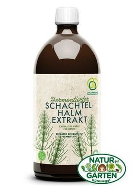 Fermentierter Schachtelhalm Extrakt von Multikraft
