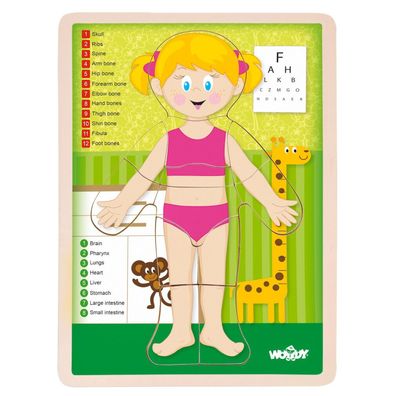Puzzle ''Menschlicher Körper'' - Mädchen DE