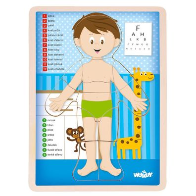 Puzzle ''Menschlicher Körper'' - Kluk CZ