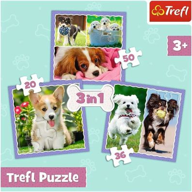 TREFL Puzzle Niedliche Welpen 3in1 (20,36,50 Teile)