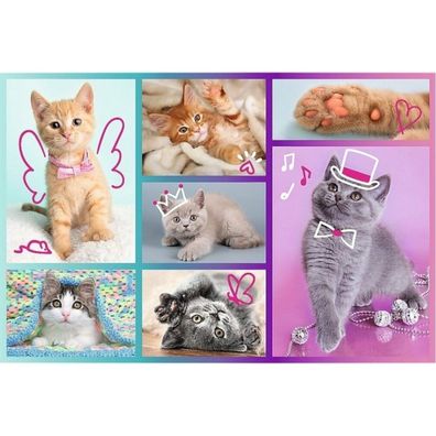 TREFL Niedliche Kätzchen Puzzle 60 Teile