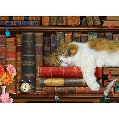 Eurographics Cat's Nap Puzzle XL 500 Teile