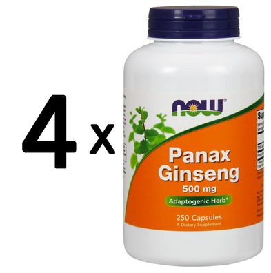 4 x NOW Foods Panax Ginseng, 500mg - 250 capsules