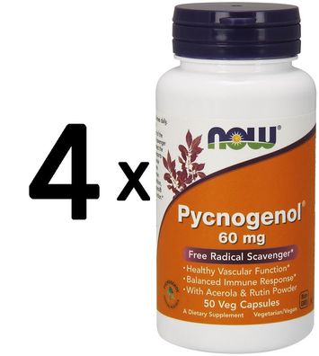 4 x NOW Foods Pycnogenol, 60mg with Acerola & Rutin Powder - 50 vcaps