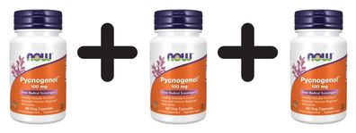 3 x NOW Foods Pycnogenol, 100mg - 60 vcaps