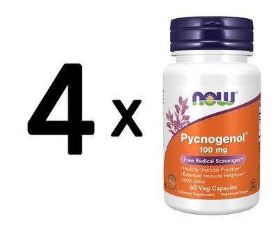 4 x NOW Foods Pycnogenol, 100mg - 60 vcaps