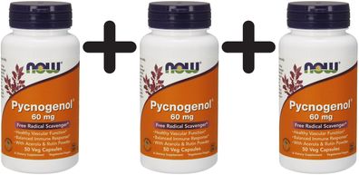 3 x NOW Foods Pycnogenol, 60mg with Acerola & Rutin Powder - 50 vcaps