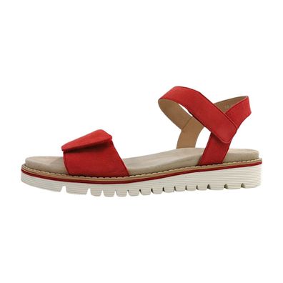 Ara 12-28114-29 Rot strawberry 29