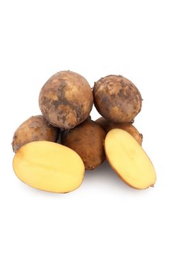 Kartoffeln Finka halbmehlige deutsche Speisekartoffel 2026 vorwiegend festkochend