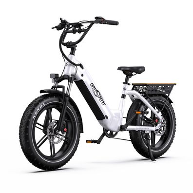 OneSport OT08 20"breitreifen city elektrofahrrad,48V 500W Motor,90km Reichweite
