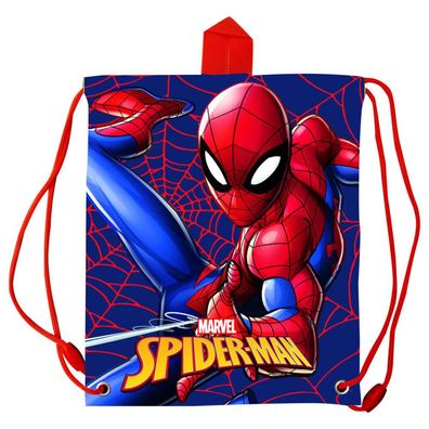Marvel Spiderman Web Lunchtasche 30 cm