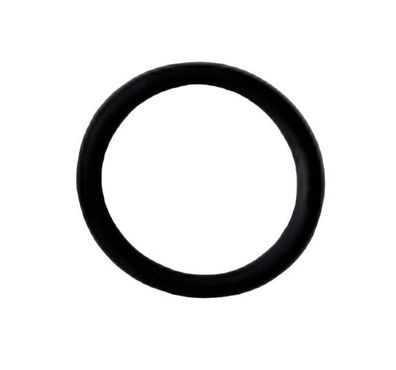 0020137542 Vaillant Wasserpumpen-O-Ring-Anschluss (AVL Schrick 0644-110824) 10 Stück