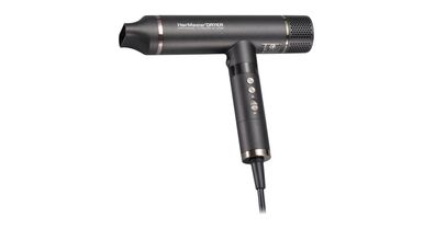Olymp Hairmaster Dryer x2l B-type
