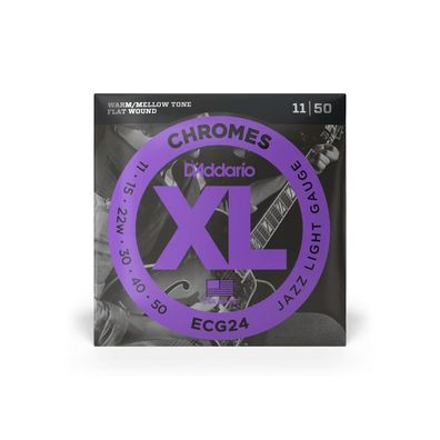 DAddario ECG24 Flat Wound
