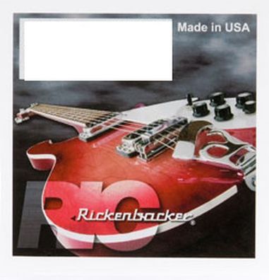 Rickenbacker Standard Guitar Set