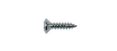 Boston Pickguard Screws 12er Set