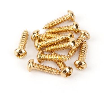 Fender Pure Vintage Mounting Screws - Art. 278639