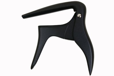 Ibanez Capo Classical