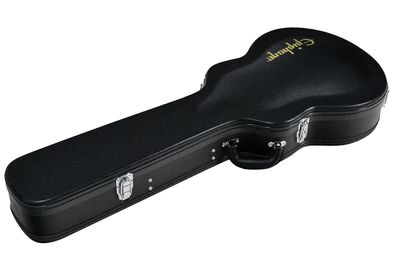 Epiphone Flamekat/Wildkat/ES 339 Koffer