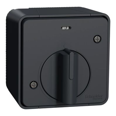 Schneider Electric Mureva Styl Timer-Lichtschalter IP55 10A Grau Aufputz