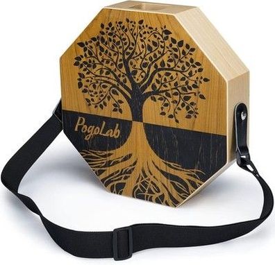 Cajon Instrument mit Snare und Basston für akustische Musik tragbar 33x30,5x9 cm