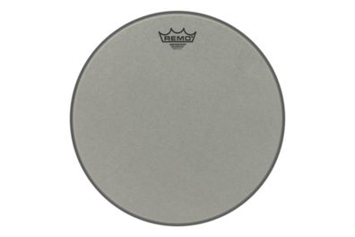 Remo Renaissance Ambassador 14''