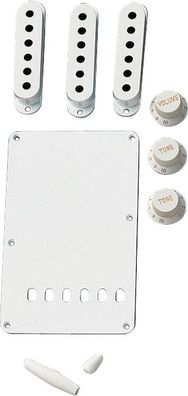 Fender Accessory Kit - Stratocaster - Art. 272008