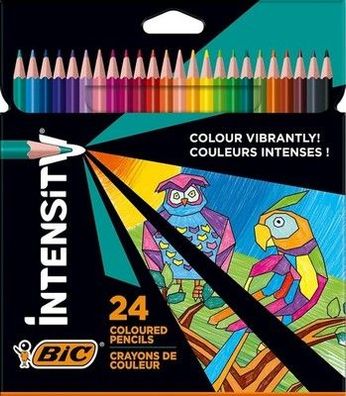 BIC Intensity Buntstifte, Dreikant-Malstifte, Farbstifte zum Malen in 24 Farben