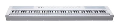 Kurzweil KAE1 White