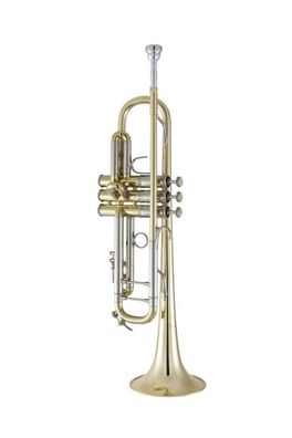 Bach 19043 Stradivarius in B