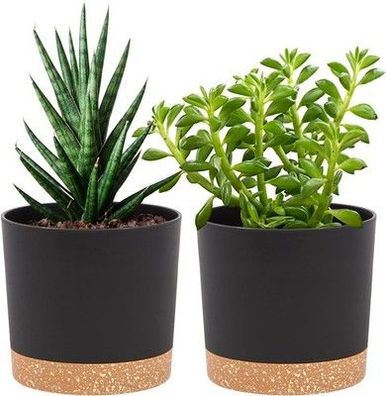 2x Blumentöpfe 12,7 cm, Blumentopf für Zimmerpflanzen matte Oberfläche Topf