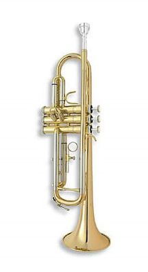 aS Arnolds & Sons ATR-4200G Terra in B Trompete