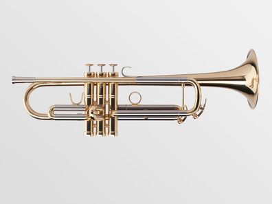 Adams Prologue intermediate in B - Art. 295943