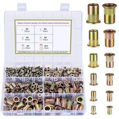 300 Stk Nietmuttern Set, Blindnietmuttern, Flachkopf Gewindehülsen Farbzink