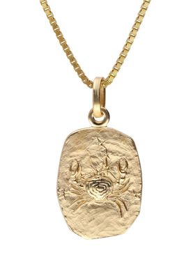trendor Schmuck Krebs Sternzeichen Gold 333 / 8K mit vergoldeter Silberkette 15382-0