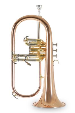 Roy Benson FH-302 G in B