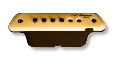 LR Baggs M1 Active