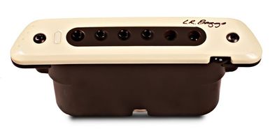 LR Baggs M80