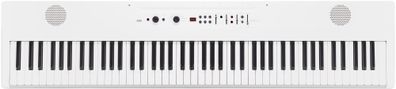 Korg Liano Live