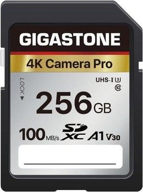 Gigastone 256GB SDXC Speicherkarte, 4K Kamera Pro, bis 100 MB/S, A1 UHS-I U3 V30