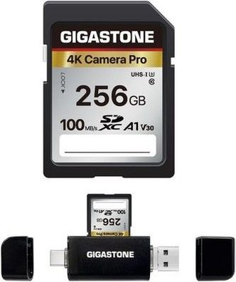 Gigastone 256GB SDXC Speicherkarte mit USB Typ C Kartenleser, 4K Kamera 100 MB/S