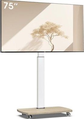 TV Bodenständer Rollbar mit Holzregal, TV Ständer mit Rollen für 43-75 Zoll