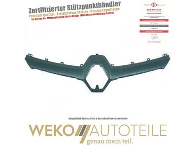 Zier-/Schutzleiste, Kühlergitter vorne Diederichs 4466041 für Renault