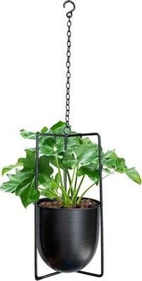 Smaxcn Hängender Blumenampel, Hängender Dekorationstopf Metall Bolo Blumenampel