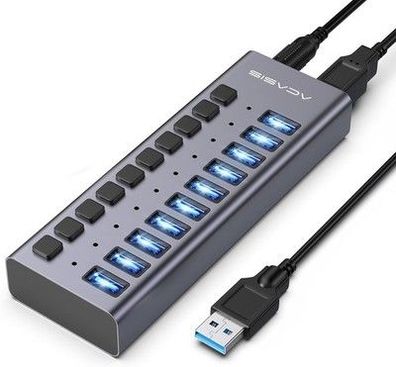ACASIS Powered USB Hub, 10 Ports USB 3.1 Hub mit 10Gbps Data Speed, 12V4A 48W